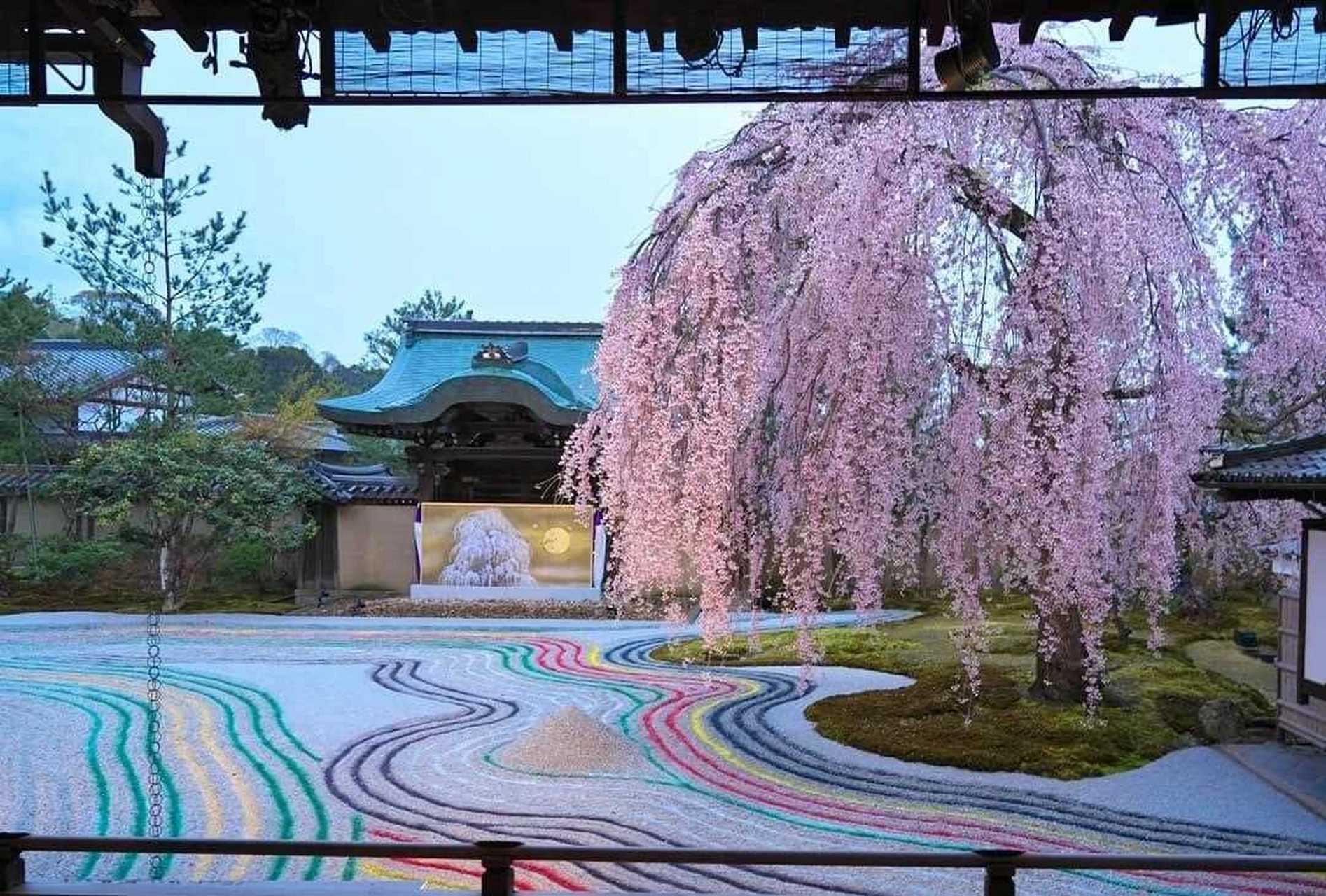 京都京都府高台寺图片