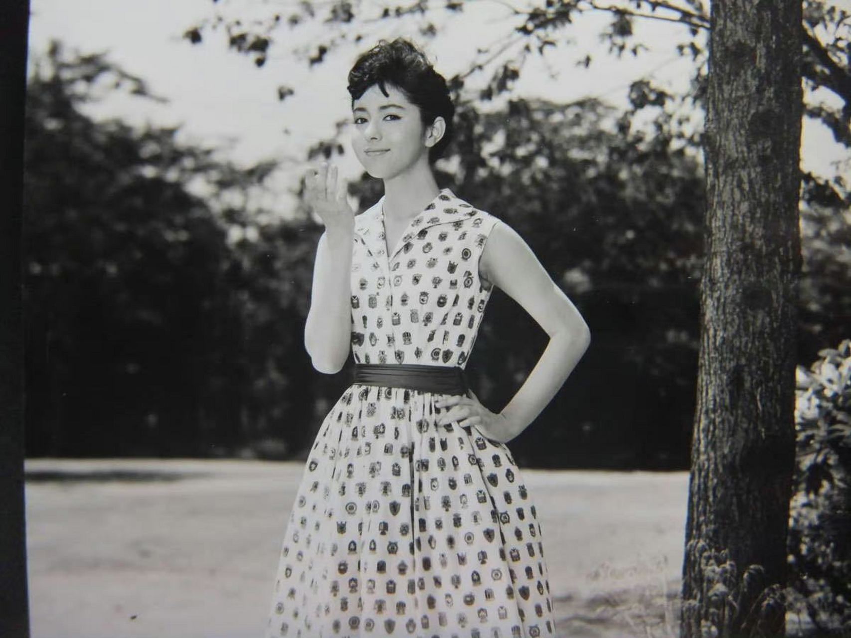 鳄渊晴子,日本女演员,1945年生于日本东京.为日本,奥地利混血儿.