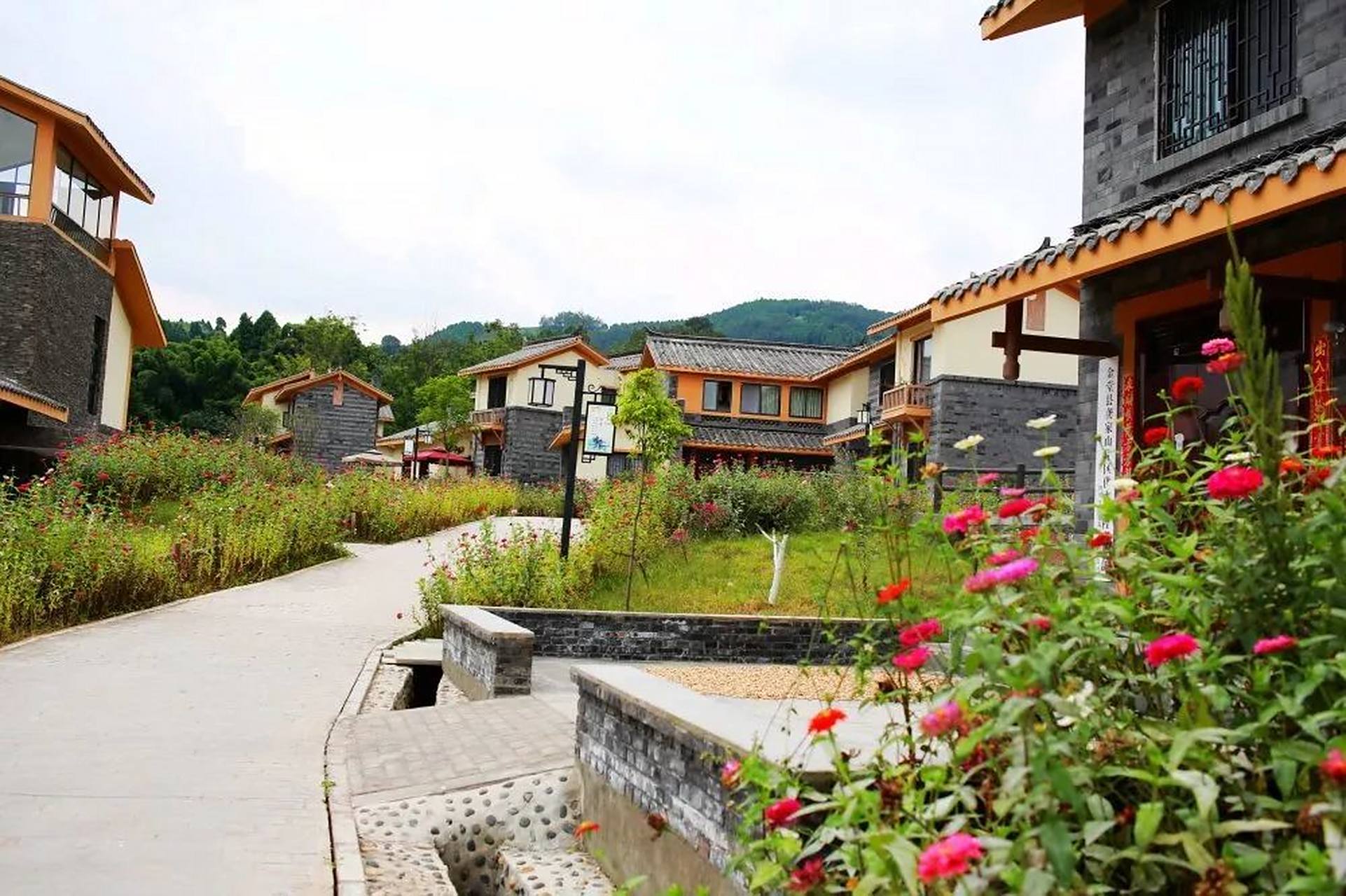 龚家山油橄榄主题公园,由淮口镇引进的聚峰谷农业发展有限公司承建的