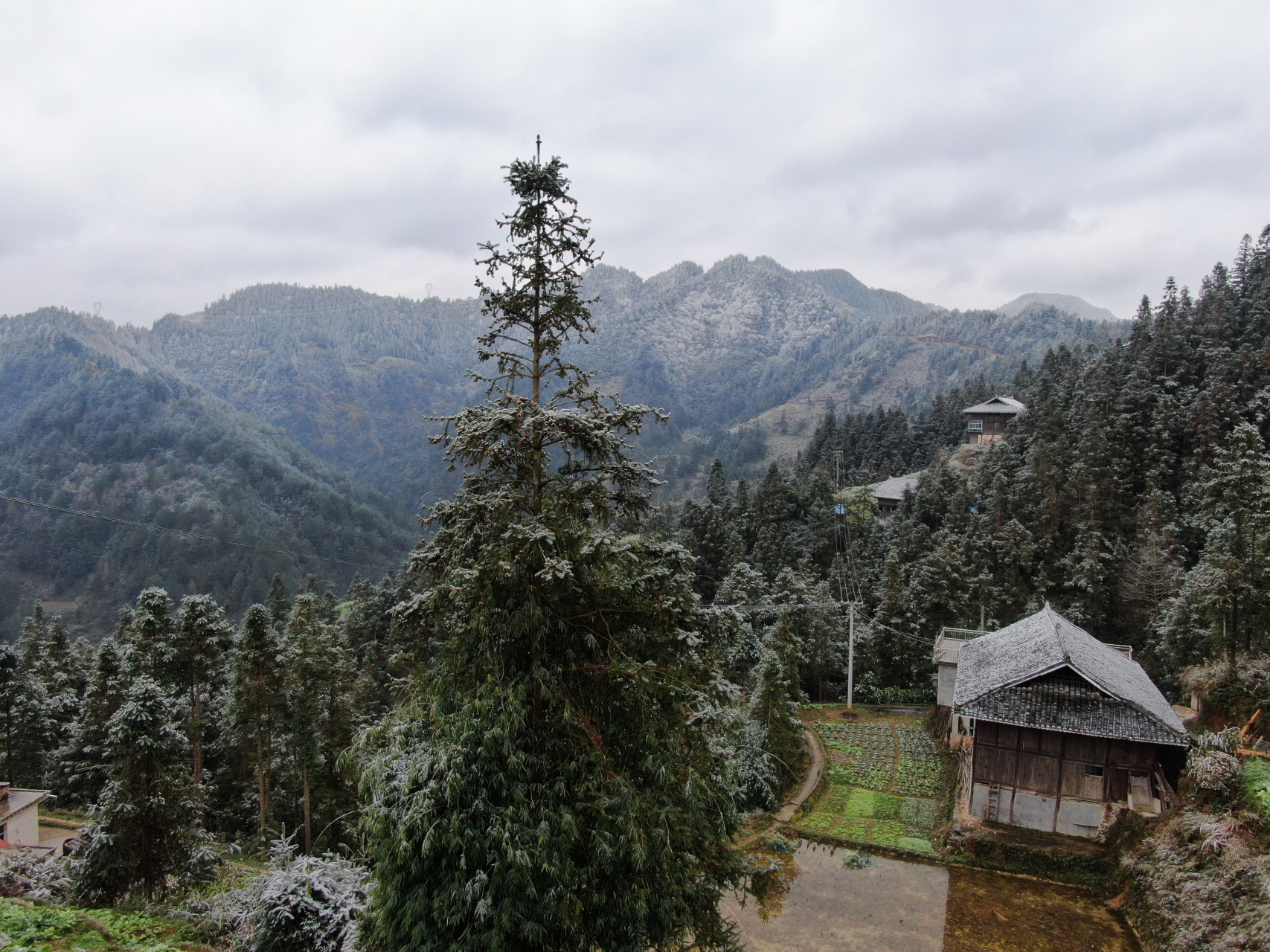 雷公山雪景图片图片