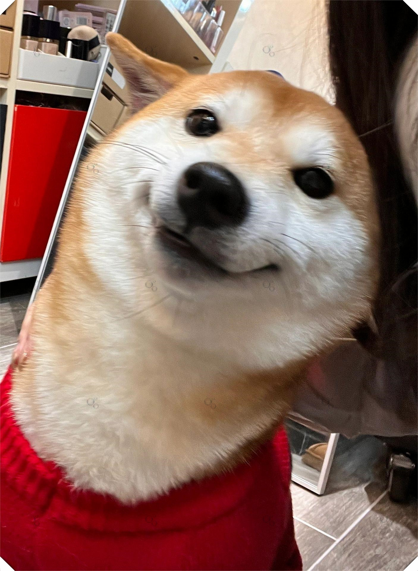 微笑的圣诞修勾,温暖了整个冬季