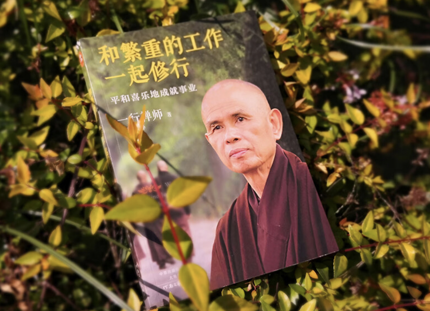 一行禅师通过《和繁重的工作一起修行》一书,告诉读者的五句话: 1,在