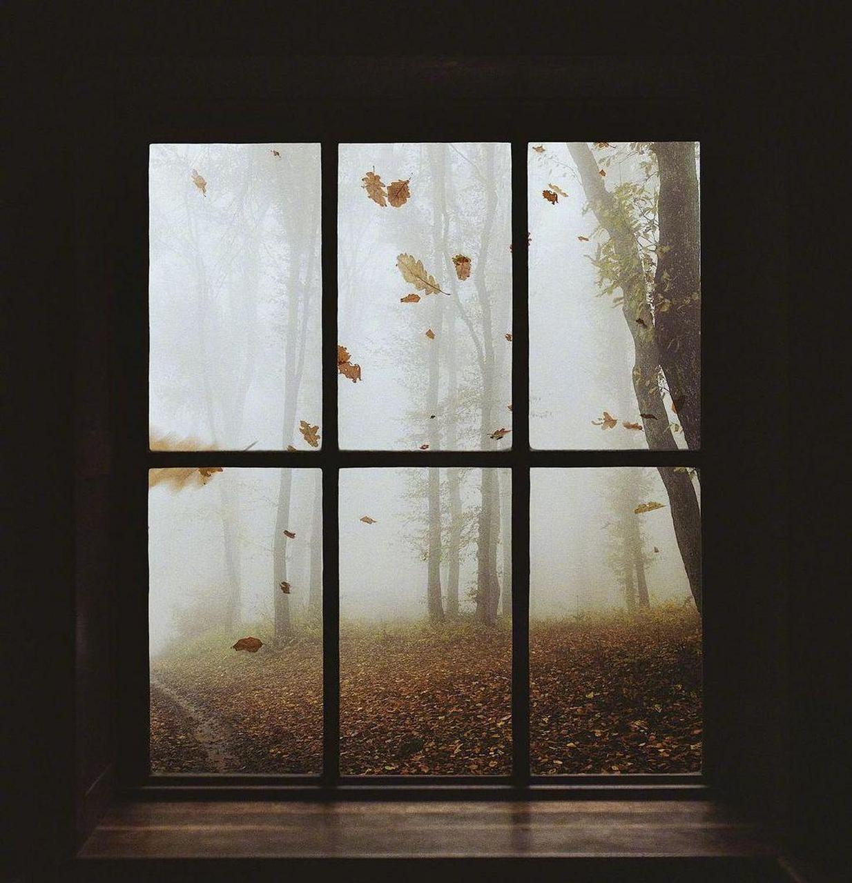 ) 不管今年有多丧, 看到这窗外一年四季的风景, 都会有一丝