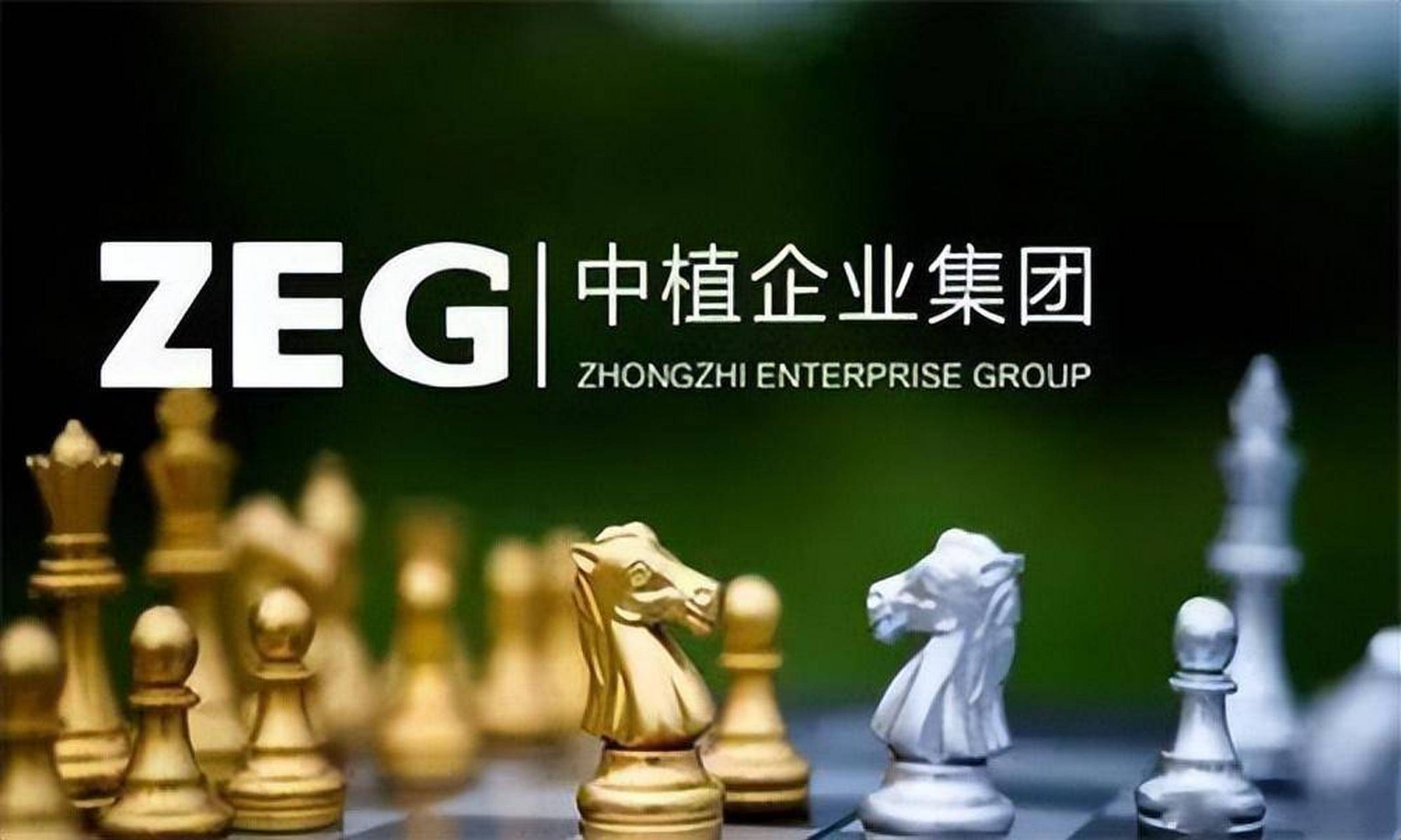 那要说清楚这个话题啊,还要从中植的历史开始讲起了.