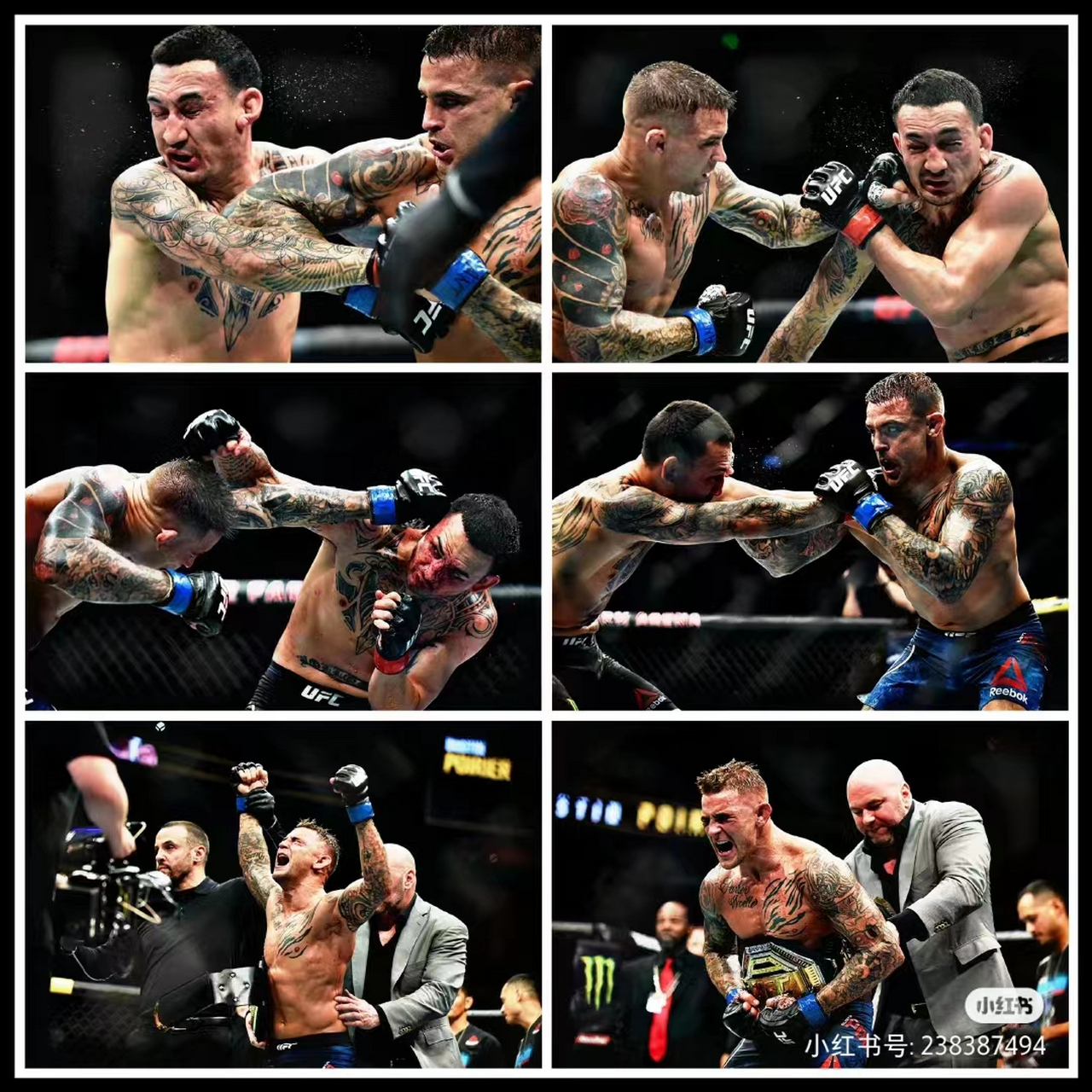 四年前的今天,"钻石"达斯汀·普瓦里尔血战"天佑"麦克斯·霍洛威五