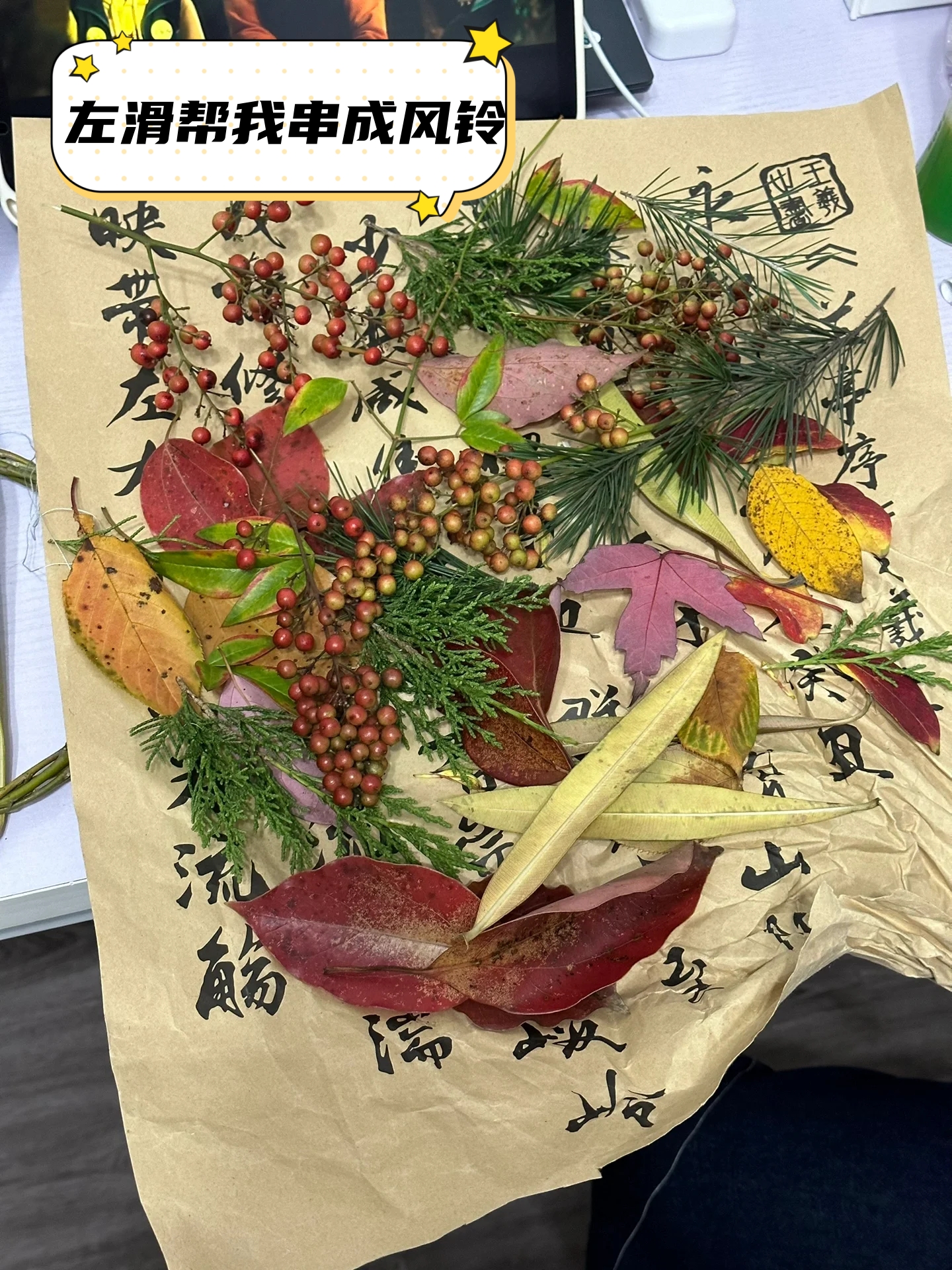 秋天这个被诗人赞美为金色的季节真的美得让人