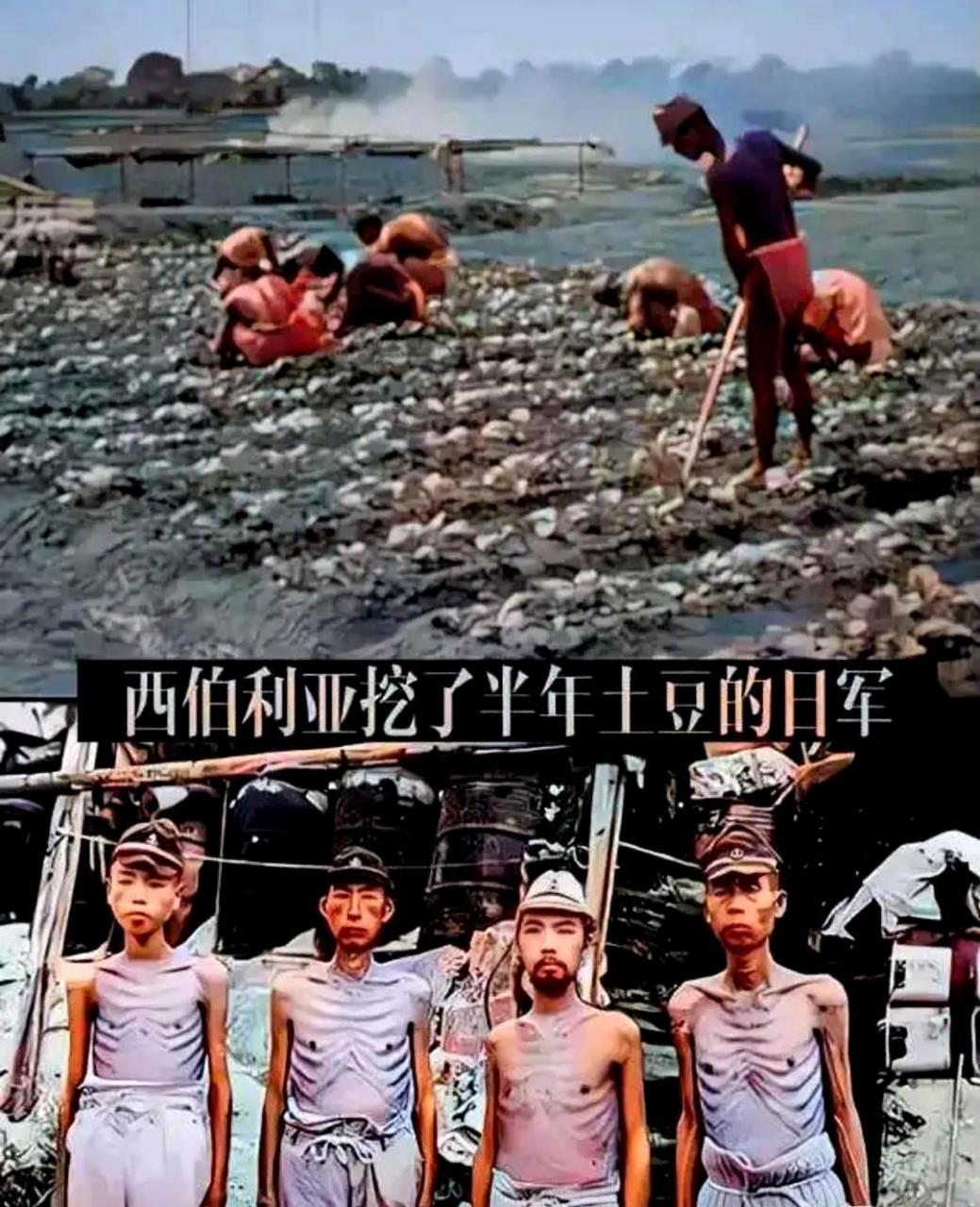 这些日军在西伯利亚挖土豆只有半年,就变成了这样的模样,实在是罪有应