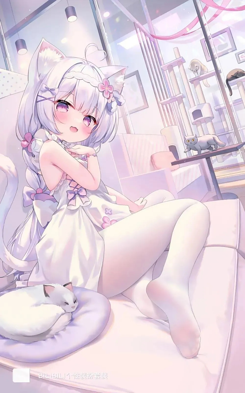 身穿白色连衣裙的猫耳少女#二次元美图