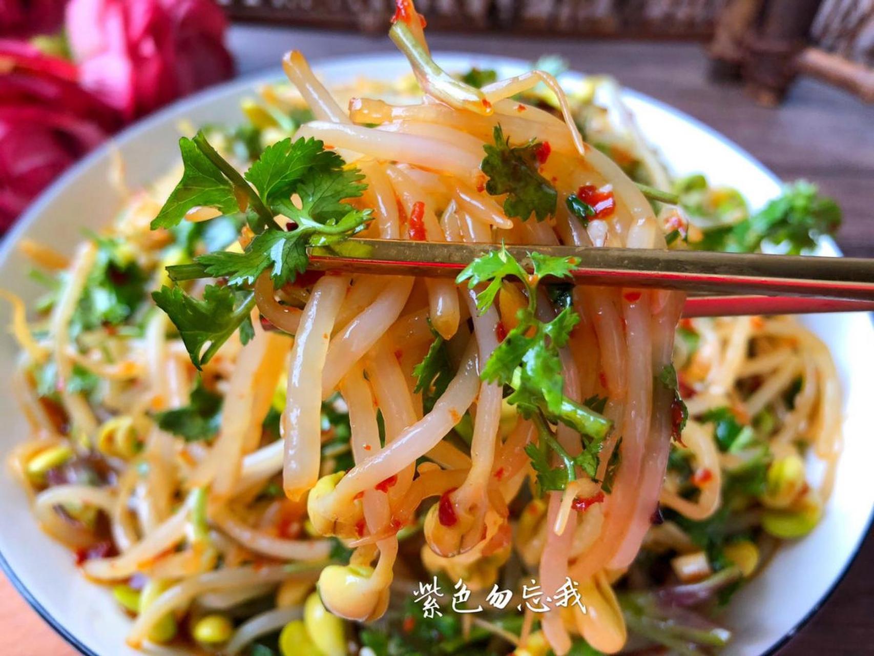 酸辣豆芽最好吃的做法,酸辣下饭,一盘成本只要2元钱,实惠 【凉拌酸辣