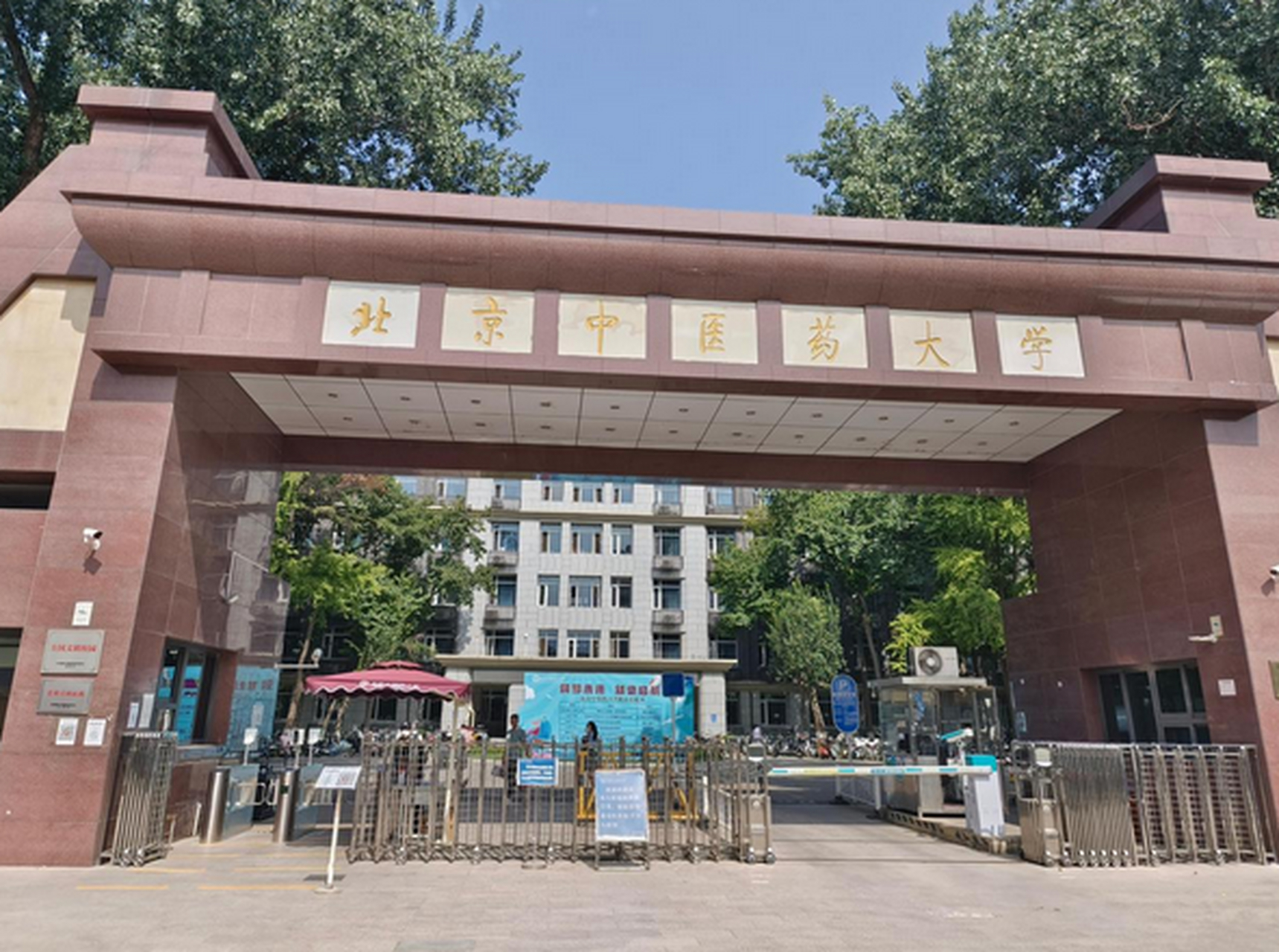 大家好,我是北京中医药大学国医堂朱文莲医生,从医30余年了,一直从事