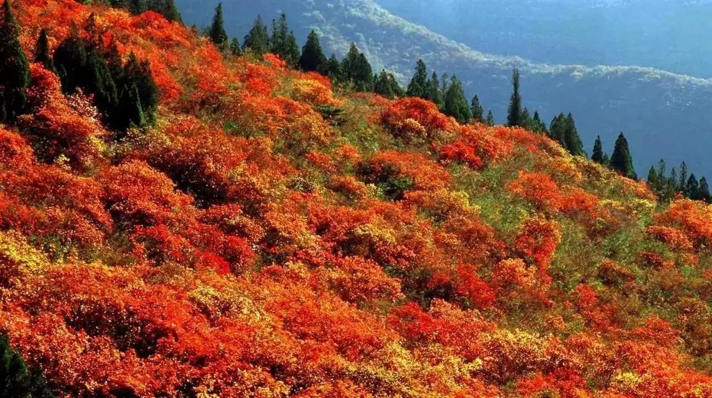 荥阳景区都有哪些景点图片