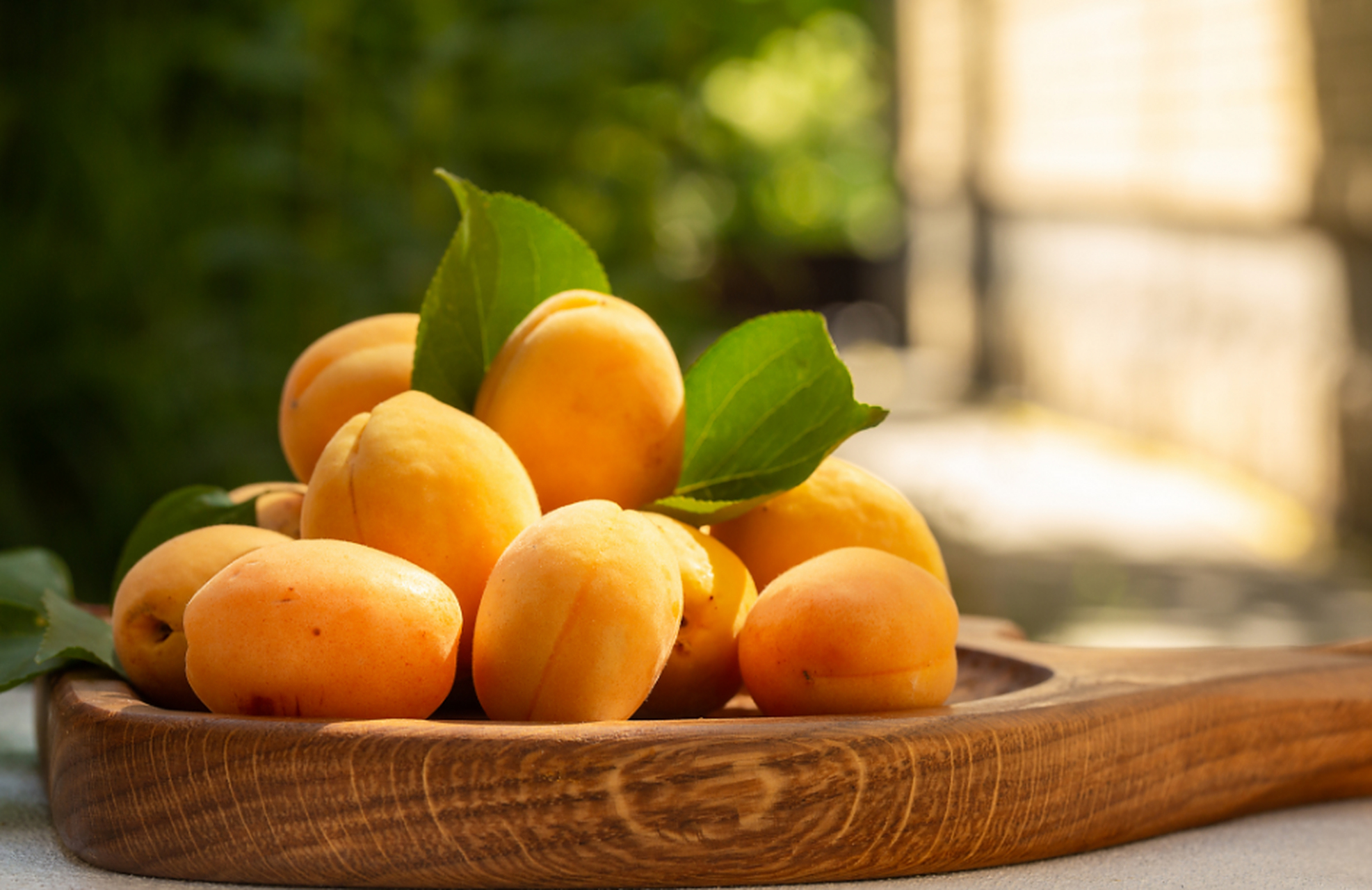 杏这种水果不仅好吃,它里面富含的营养也非常丰富,有多种人体需要的