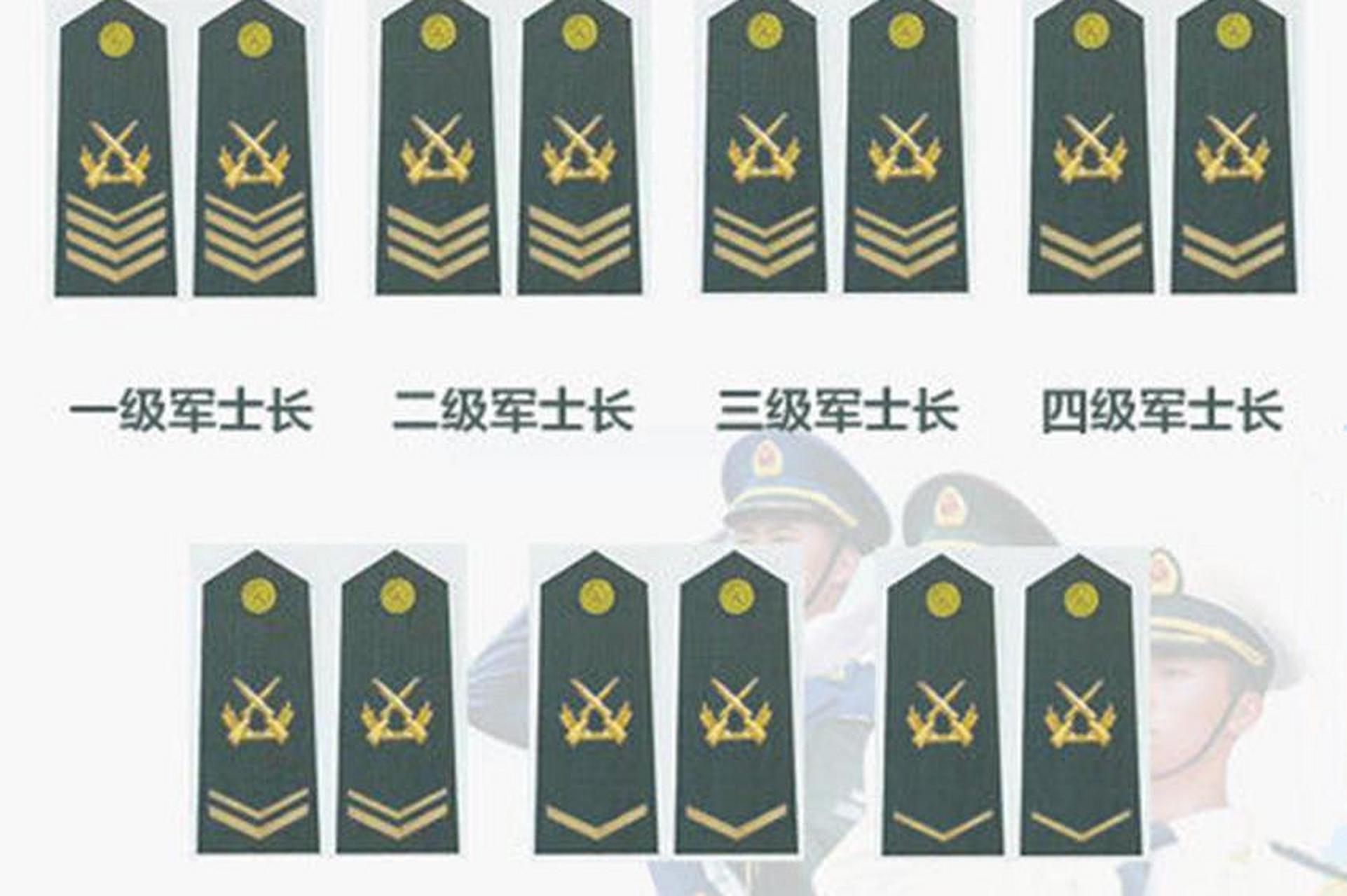 国防动员单位军衔图图片