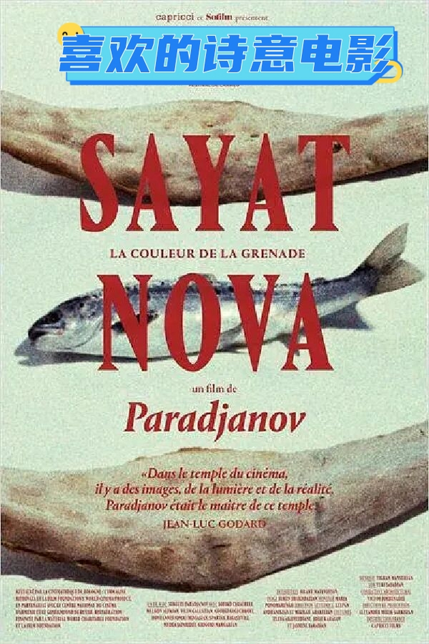 这几部电影都是我喜欢的,所以就来推荐给其他小伙伴