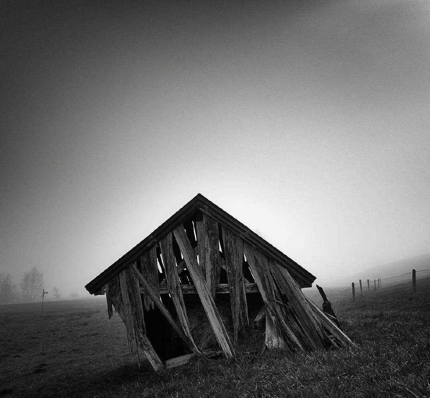 极简风光摄影作品, 雪天的灰白天空和雪地融为一体,突出了树这一主体