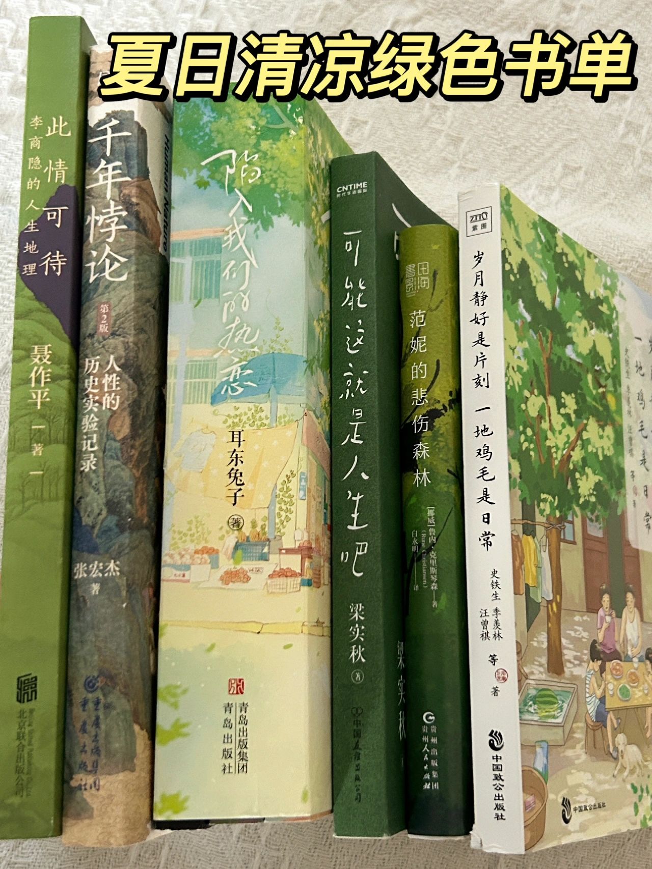 石宽与公主在一起的小说