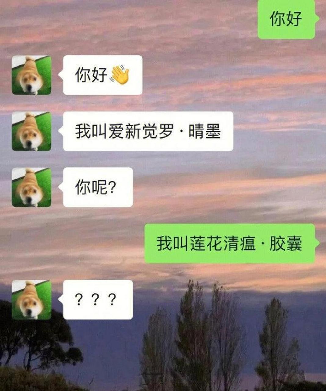 相亲初次聊天记录截图图片