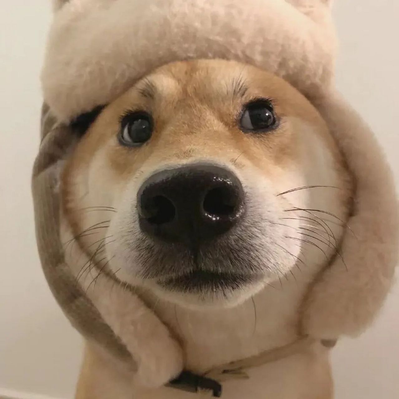 "世事千帆过,前方终会是温柔和月光