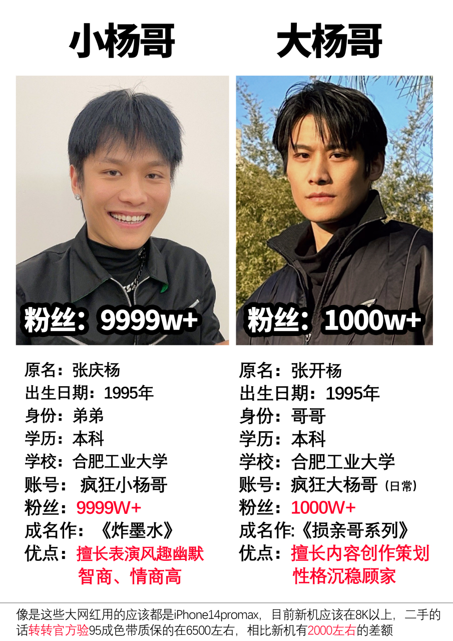 小杨哥两兄弟应该算是90后当中创业的先锋了,年纪轻轻就成了千万级网