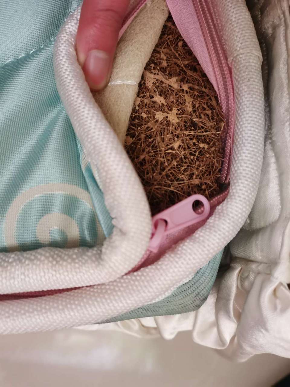 会不会有虫子在里面.估计有些年代了