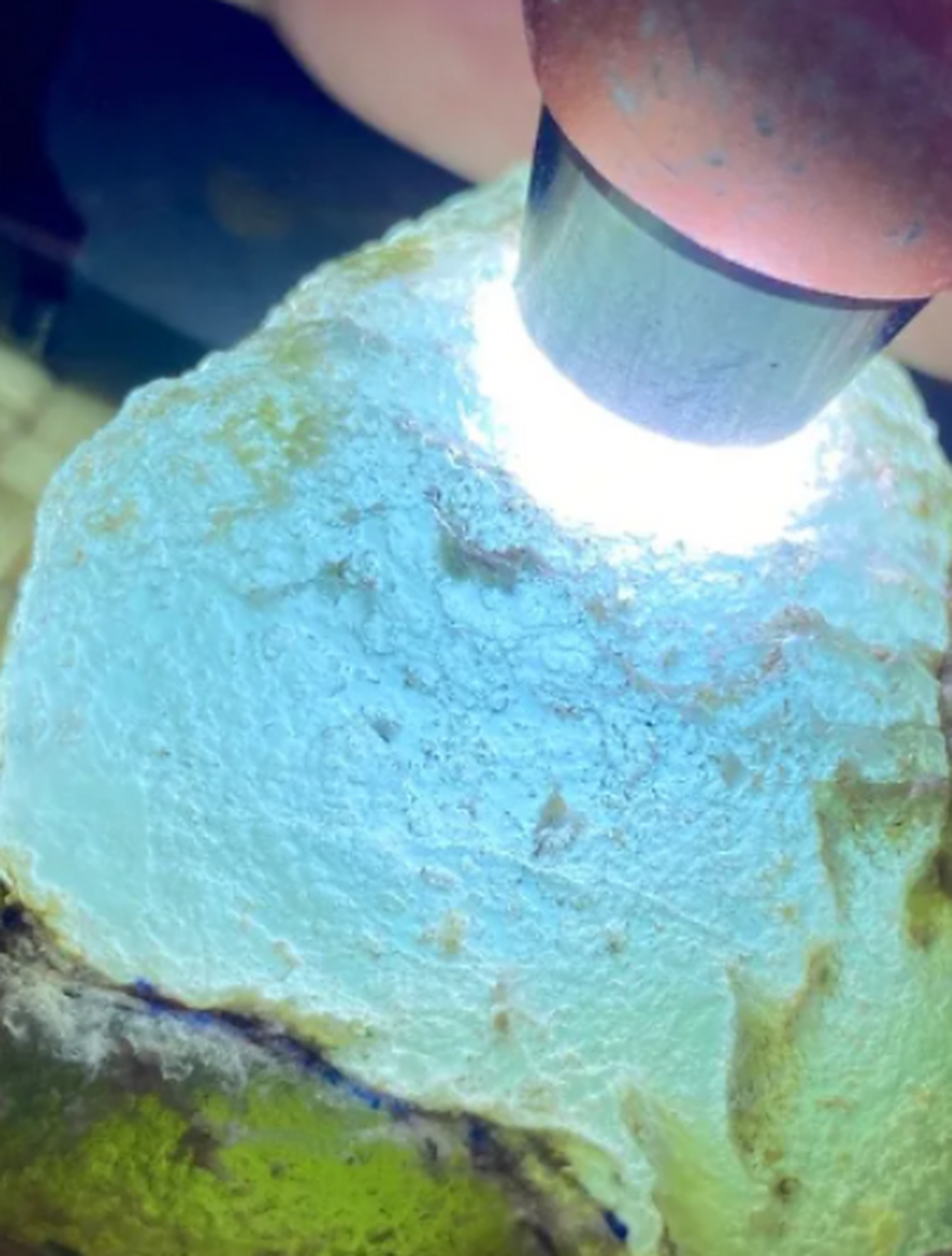 点击头像看直播##翡翠原石# 莫西沙玻璃种极品,肉质发黑细腻,全身脱