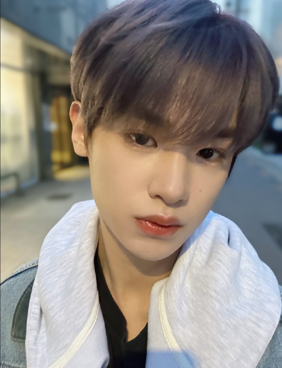 黄明昊顺毛怼脸自拍,黄明昊晒春日自拍 啊啊啊啊啊啊啊,好乖的顺毛小