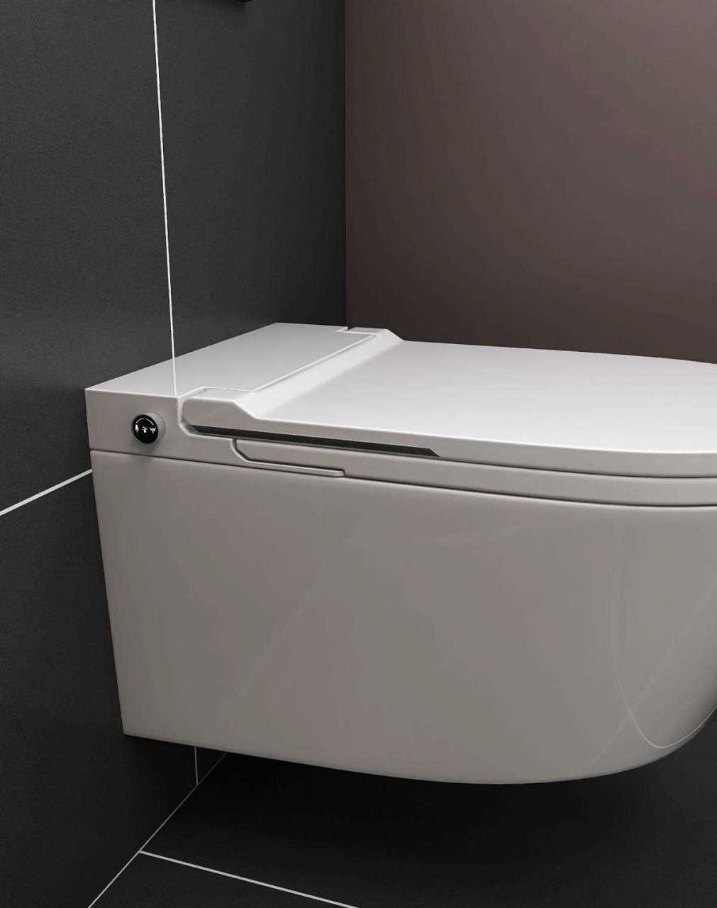 壁挂式智能马桶,顾名思义,就是挂在墙上的马桶,里面用嵌入式的铁架