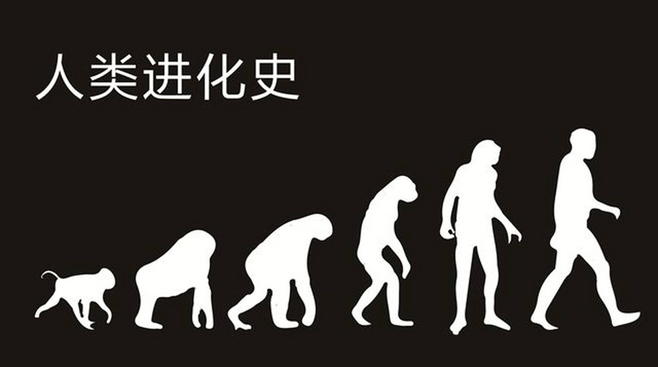 现代人类的产生真的符合进化论的规律吗?