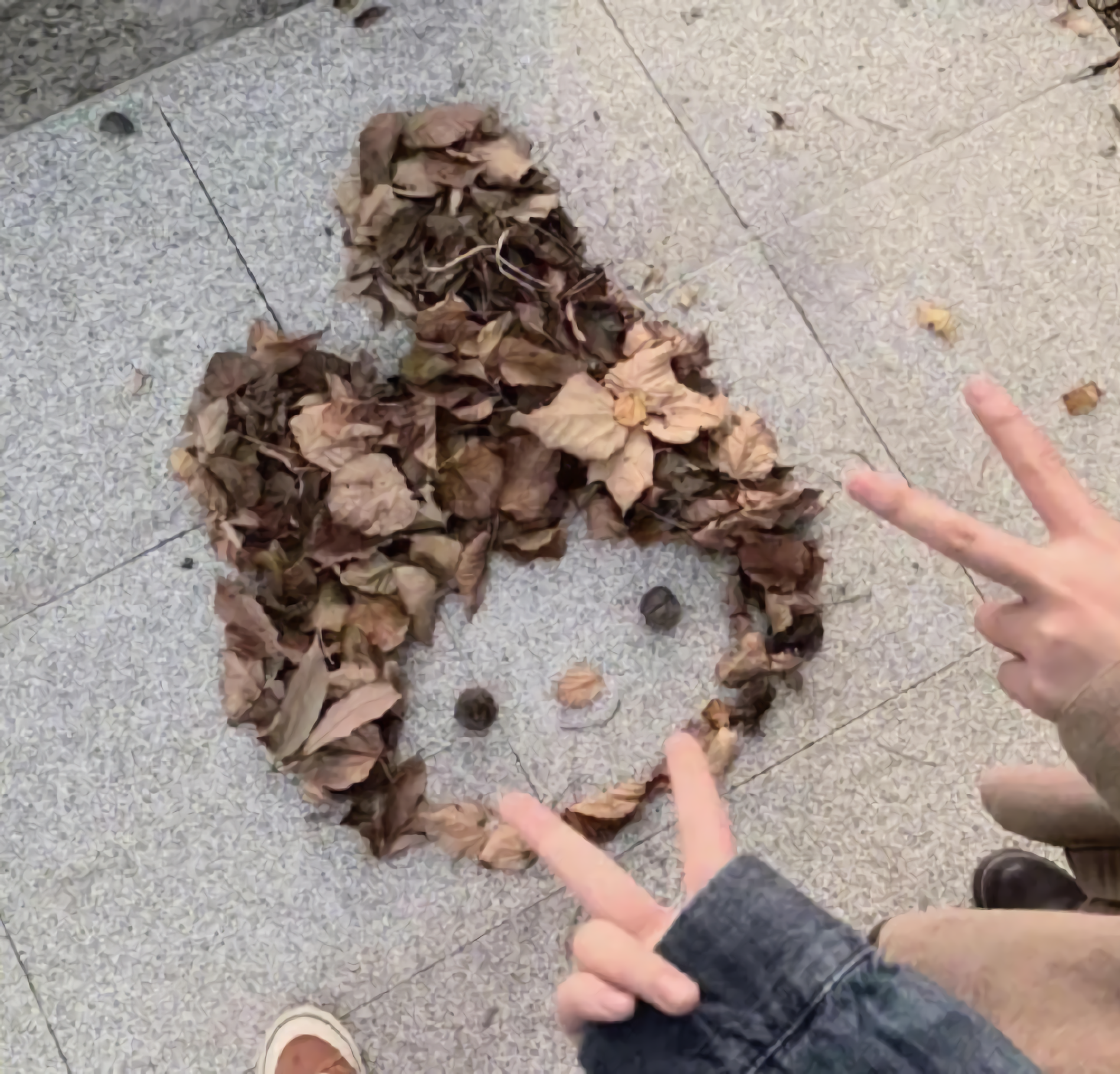 别人摆的树叶vs我摆的树叶