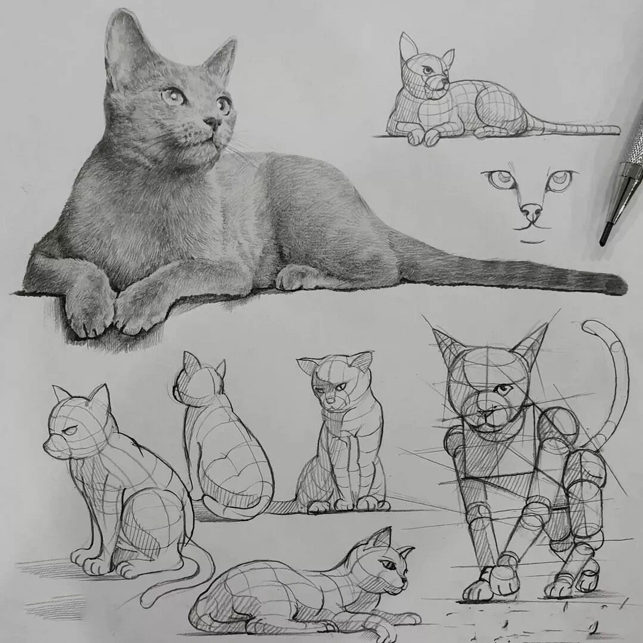 素描|动物的画法  以下是一组精美的动物素描画法,希望能得到大家的