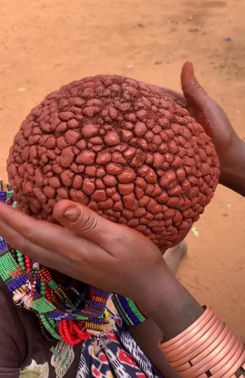 我敢说密集恐惧症的人看不了这个.