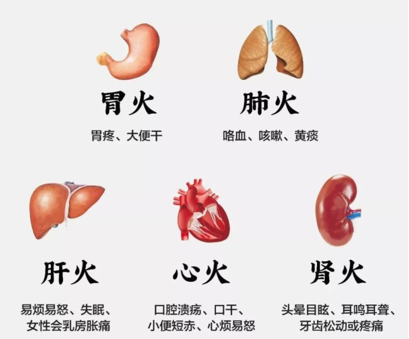 比如肺火,心火,肝火,肾火,胆火等,这些火多数是由于体内脏腑阴阳气血