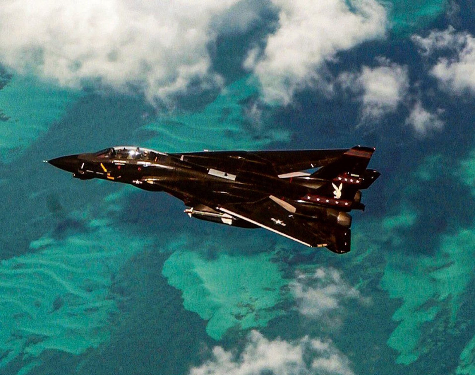 当威猛雄猫合体闪亮黑兔,会诞生怎样的f14超级皮肤?