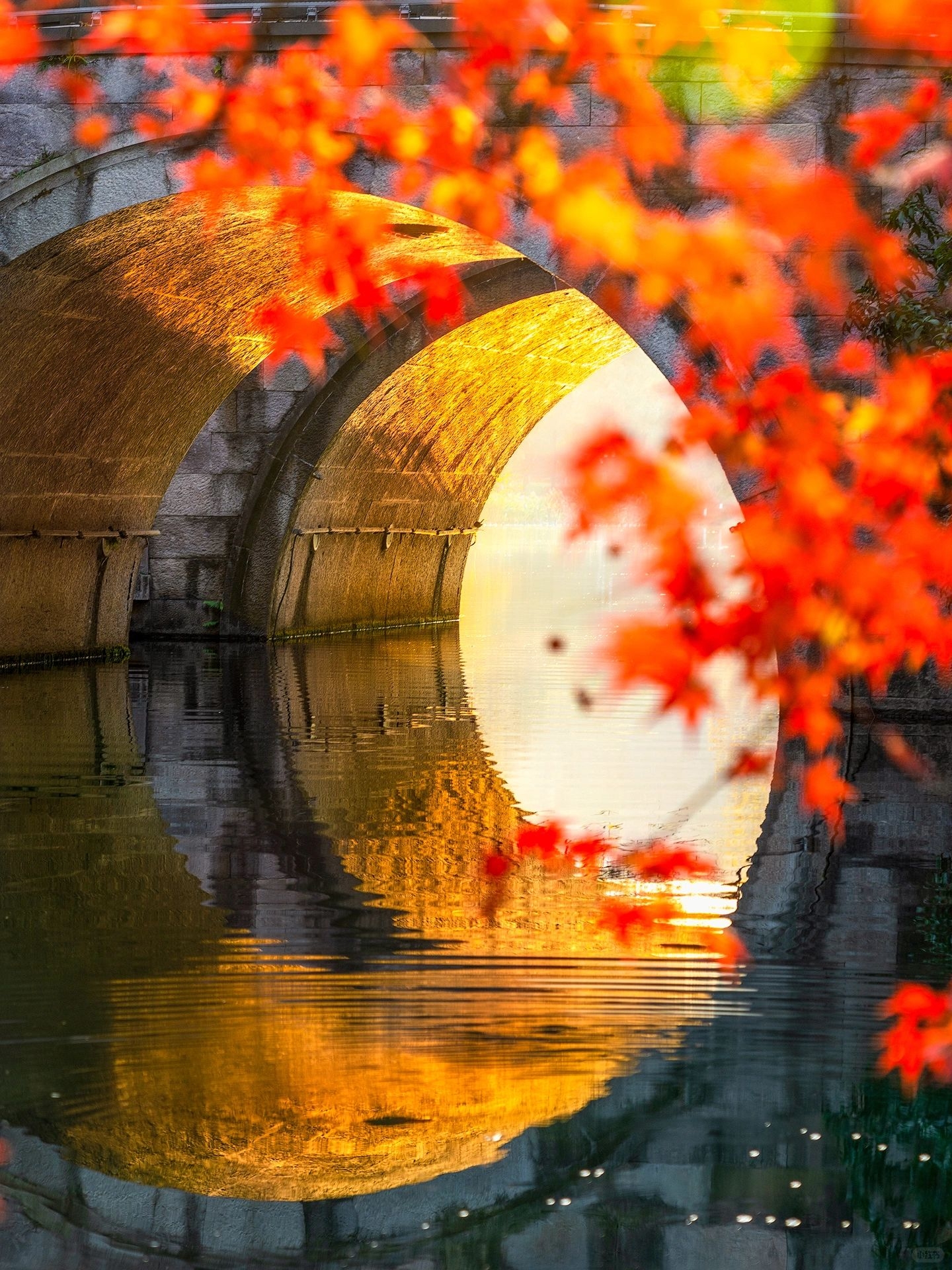 江南秋天美景图片