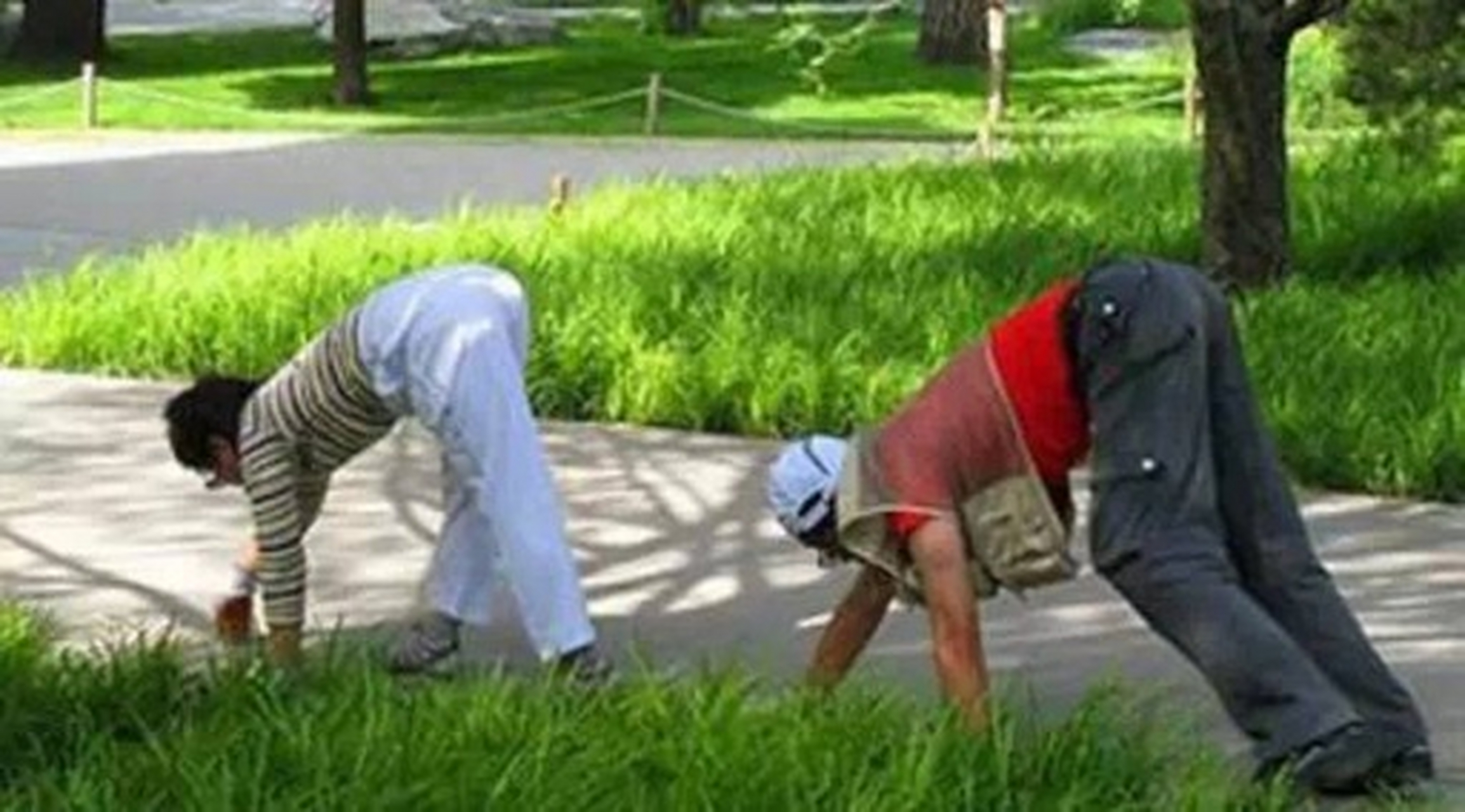 最近,一些"爬行健身"也是广受欢迎,大爷大妈采用四足行走,模仿动物的