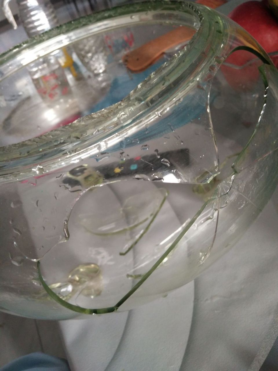 不小心把鱼缸砸了,最近怎么这么倒霉?