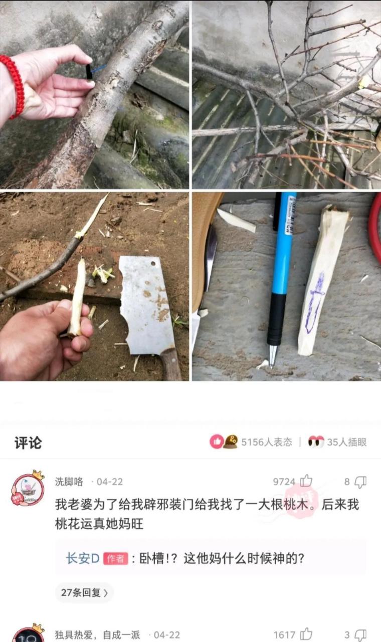 是不是三大神木之一的天雷竹,不然怎么这么坚固呢.