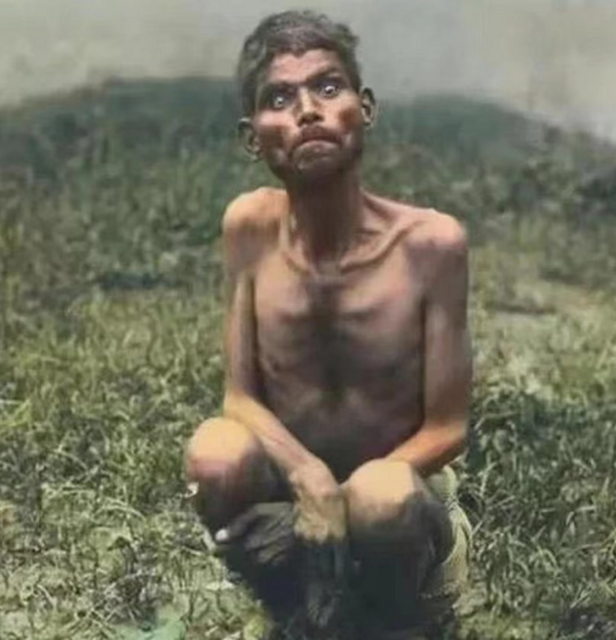 据传言,人类社会在印度发现了一位名叫迪娜·萨尼查尔的"狼孩",令人匪