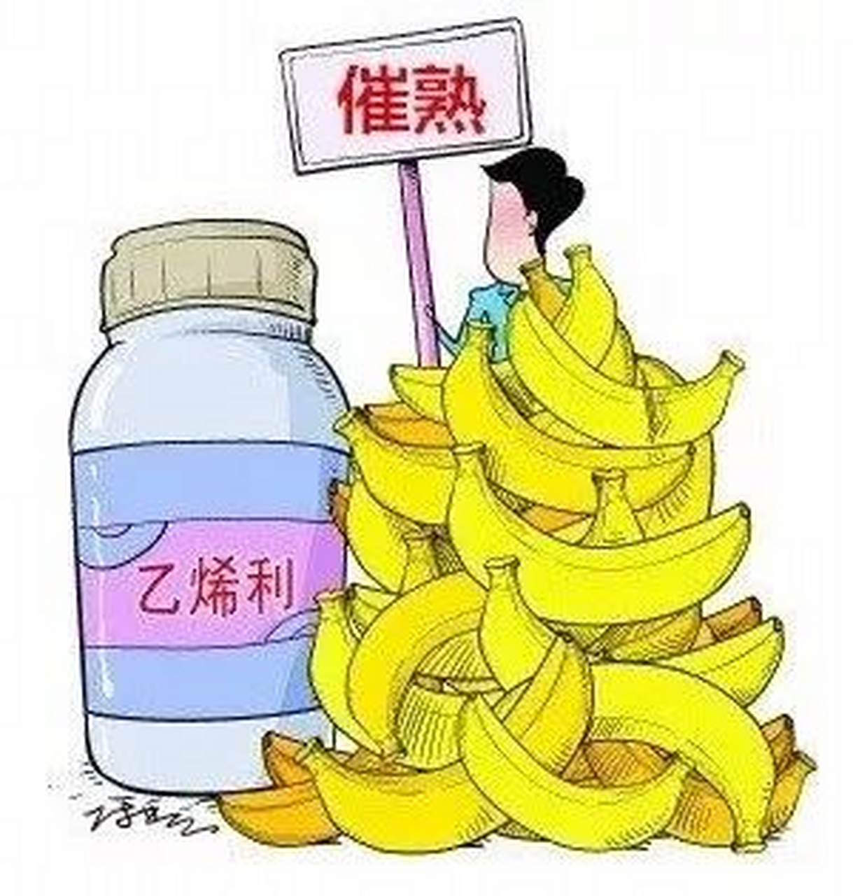 谣言: 乙烯利催熟蔬果可致性早熟 近日,一则关于"乙烯利催熟的蔬果会