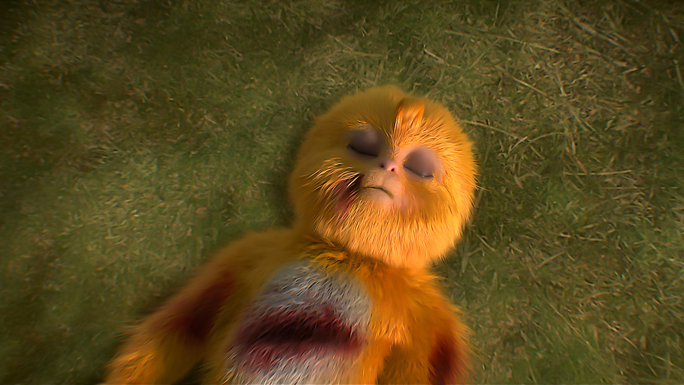 国漫《完美世界》高清壁纸:战损版毛球让人心疼,石昊新模型"荒"让人