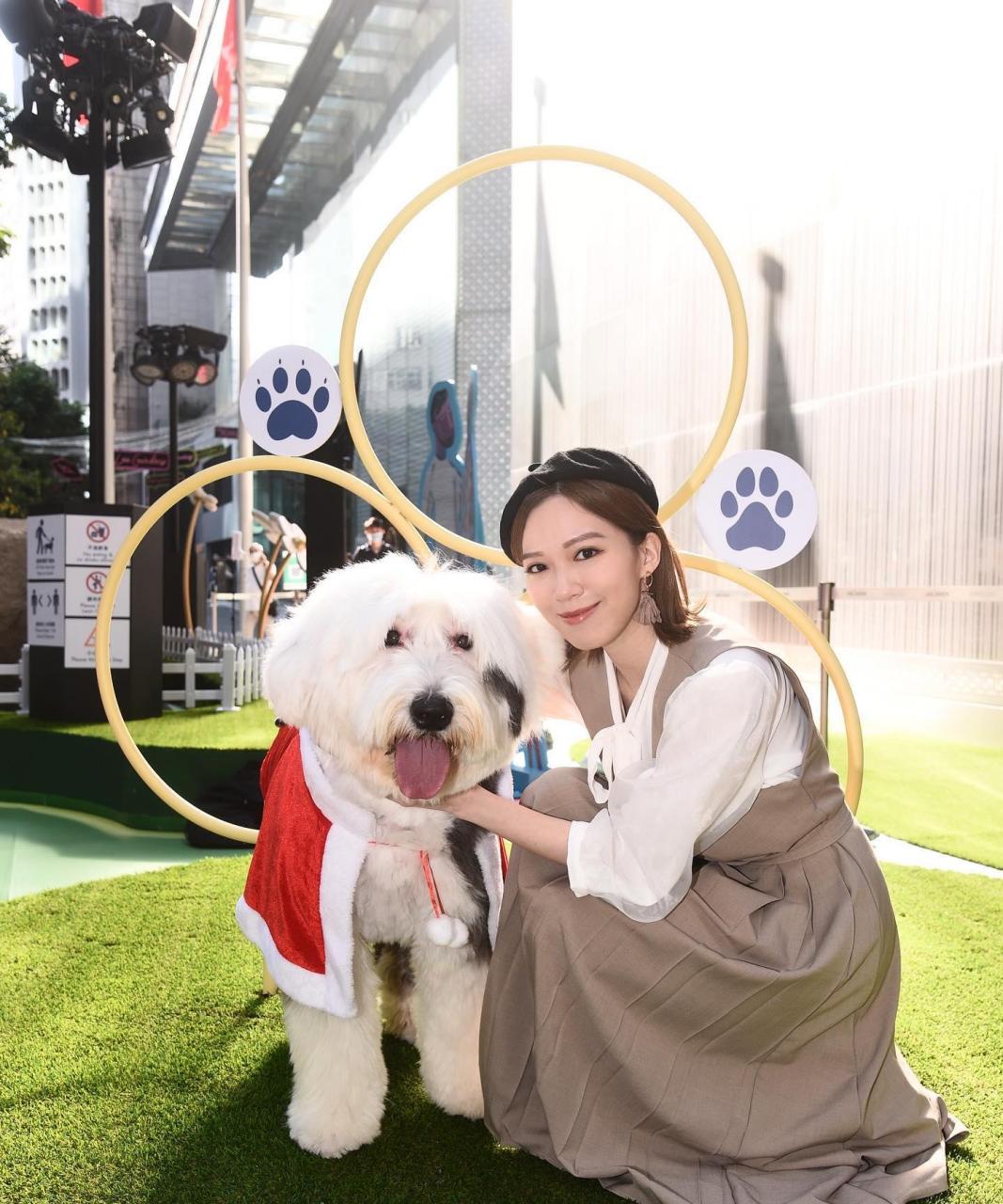 黄日华女儿秘密结婚图片