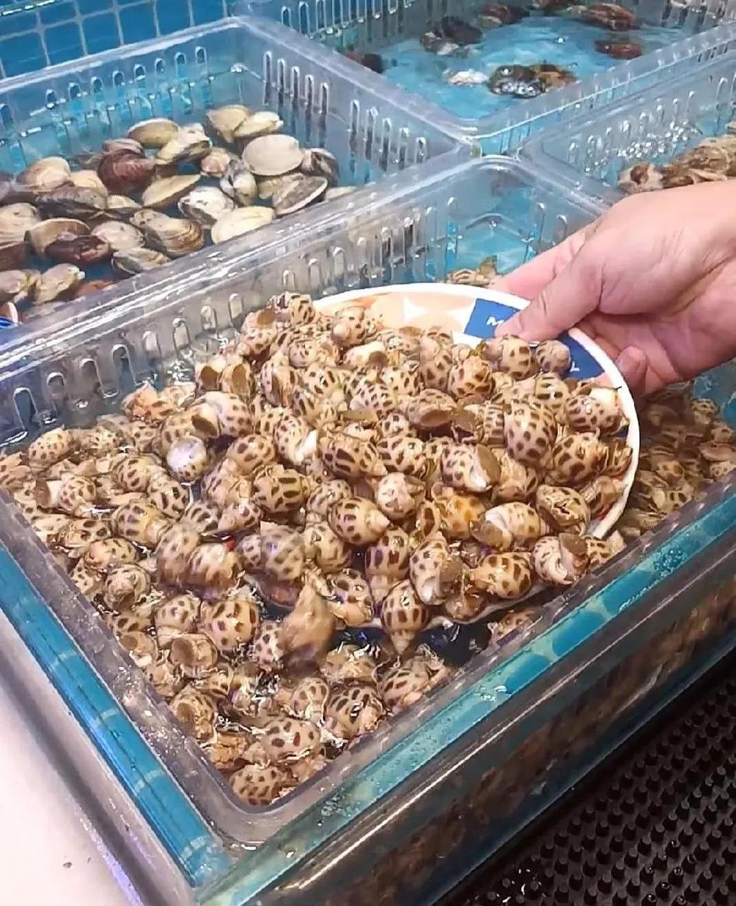 周末打卡台江万达新开不久的月半湾海鲜自助餐,是第一次来,整体装修