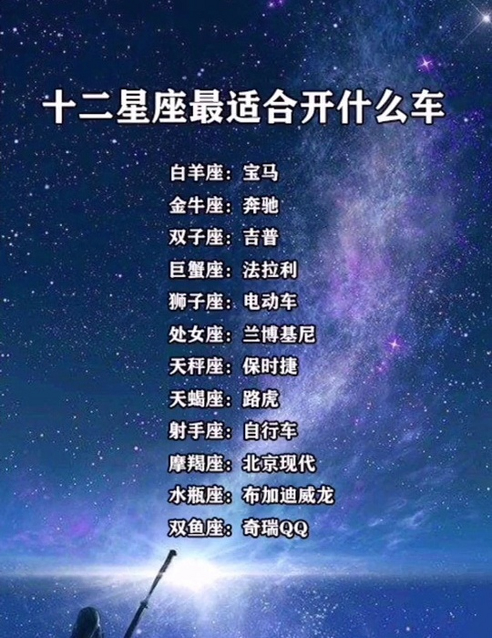 十二星座长大开什么车图片