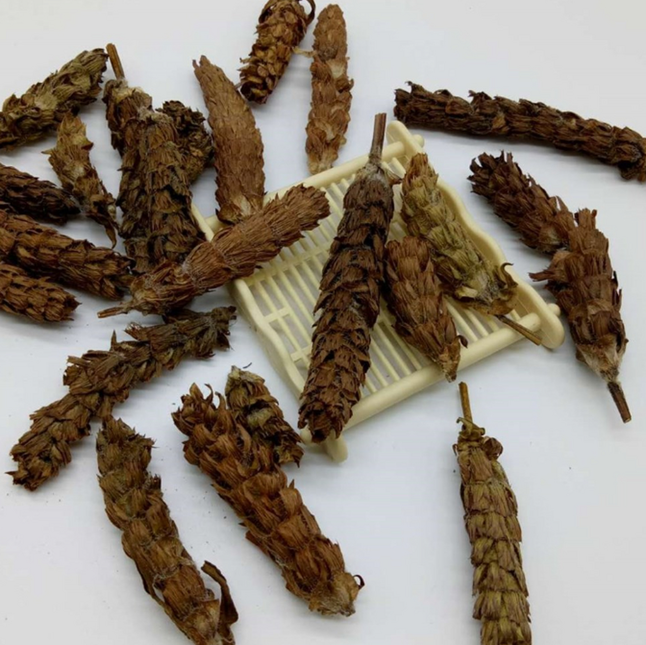 人人都怕得癌症,但是癌症,也怕这四类中草药.