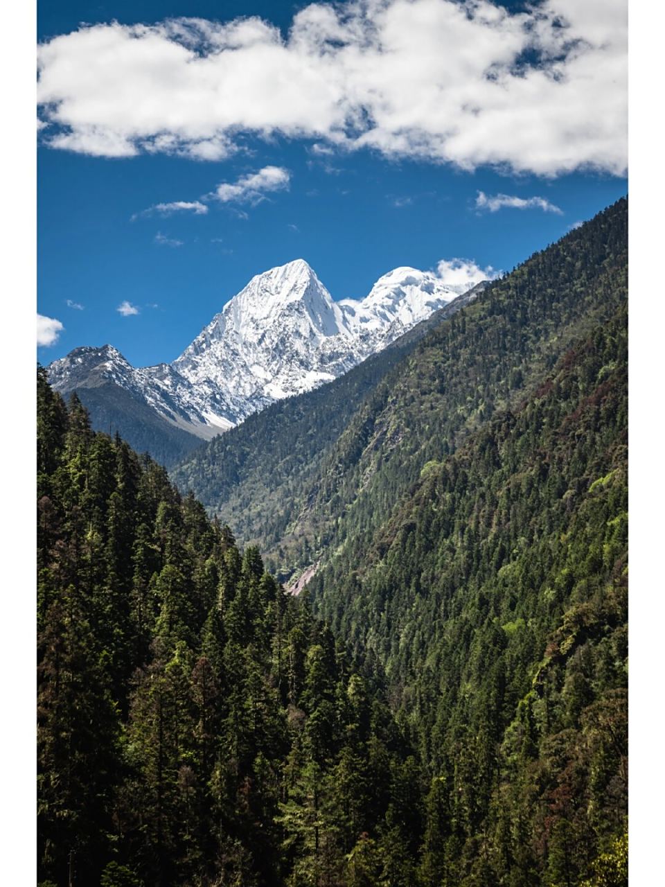 梅里北坡之旅,探寻卡瓦格博山神最近之处,朝圣之旅,雪山秘境.