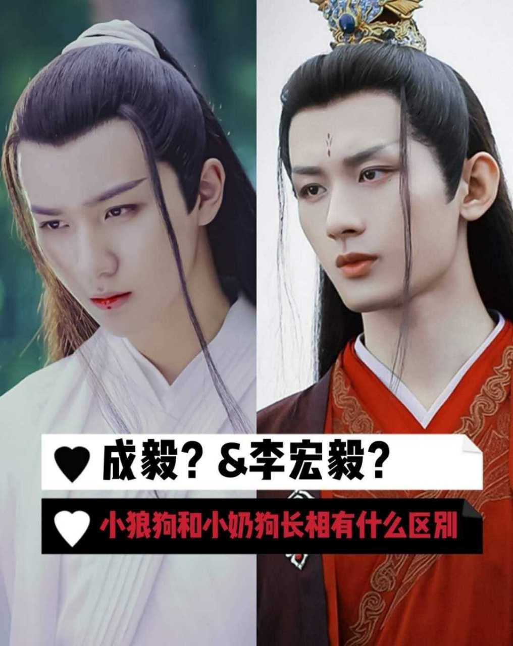 万万没想到,还有人分不清成毅和李宏毅?