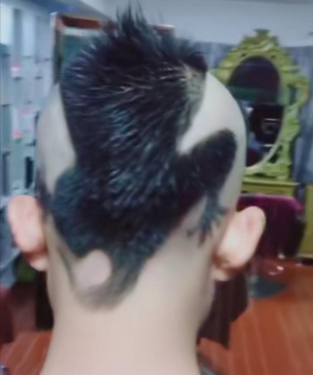 这是什么发型?好像壁虎趴在头上![左捂脸] #搞笑趣味图