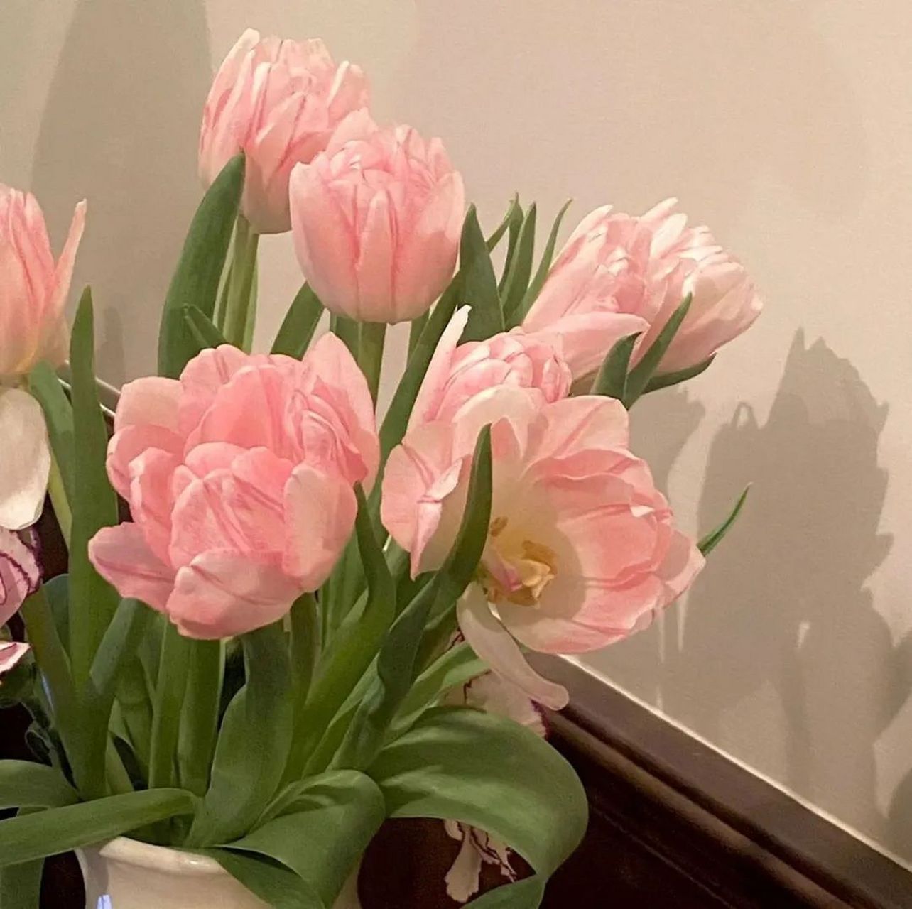 手机壁纸##无水印壁纸##高清壁纸##可爱壁纸##背景图##朋友圈背景 