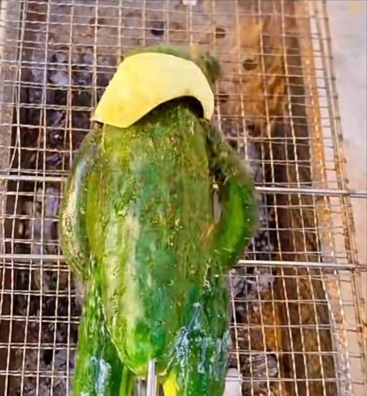 网友:简简单单吃个烧烤,吃个烤青蛙吧,黄瓜味的.