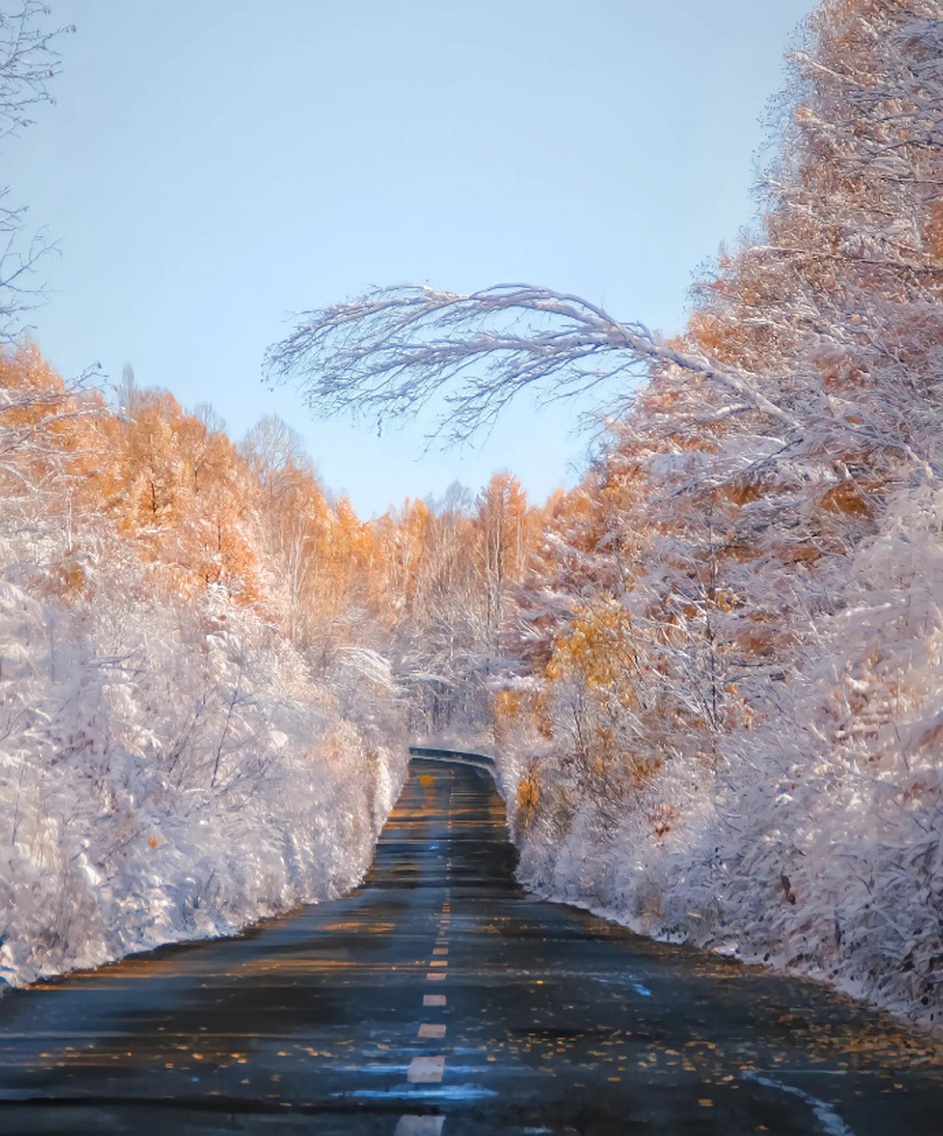 "大兴安岭的暮秋,已有冬天的模样.